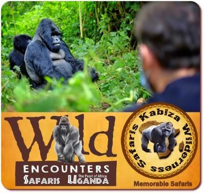 8 - Incredible Wild Encounters in Uganda Gorillas-Chimpanzees-Wildlife