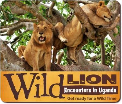 8 - Incredible Wild Encounters in Uganda Gorillas-Chimpanzees-Wildlife