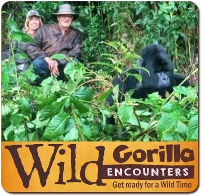 8 - Incredible Wild Encounters in Uganda Gorillas-Chimpanzees-Wildlife