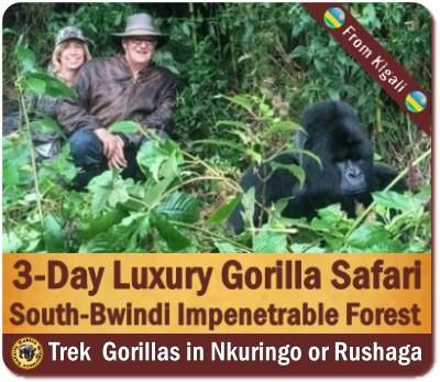 Luxury Private Gorilla Safaris in Uganda with Kabiza Wilderness Safaris