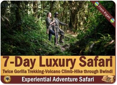 Luxury Private Gorilla Safaris in Uganda with Kabiza Wilderness Safaris