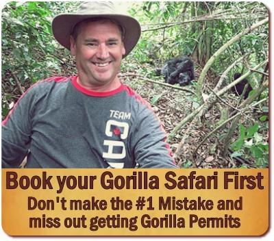 Gorilla Permit Mistake