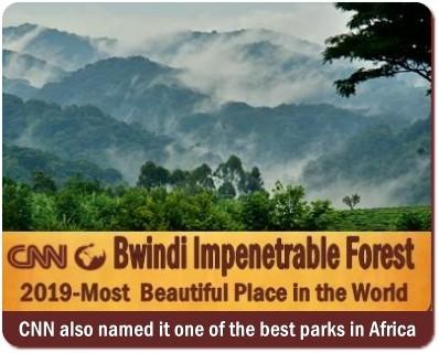 The UNESCO World Heritage Sites in Uganda the Pearl of Africa