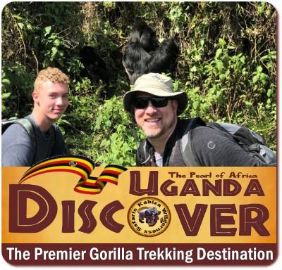 8-Things You Never Knew About Gorilla Trekking-The Reality versus the Myths