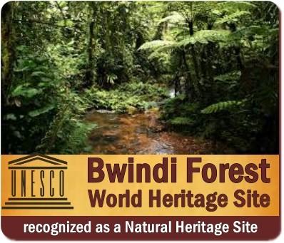 Bwindi Impenetrable Forest is a UNESCO World Heritage Site