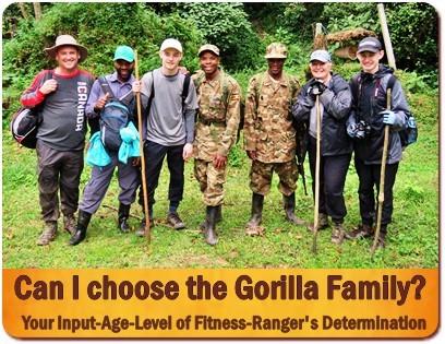 Uganda gives you more Gorilla Trekking Choices and Options