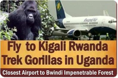 Why Fly into Rwanda and Trek Gorillas in Uganda is your best Option