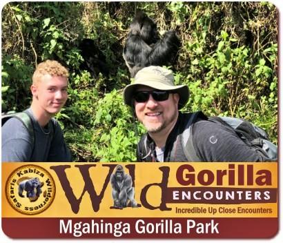 3-Day Luxury Gorilla Trekking Safari in Mgahinga Gorilla Park