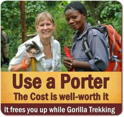 What should I wear for Gorilla Trekking? Here is your Packing list