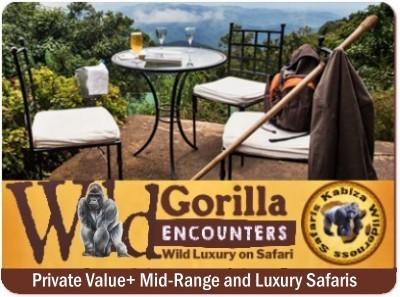 Uganda gives you more Gorilla Trekking Choices and Options