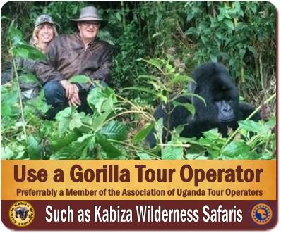 Avoid making the The Number 1 Gorilla Permit Mistake