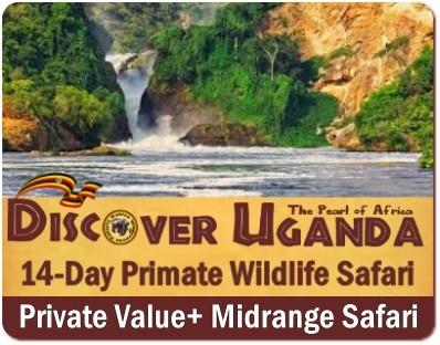 Value+ Midrange 10-Day Big 7 Gorilla-Chimpanzee Wildlife Safari