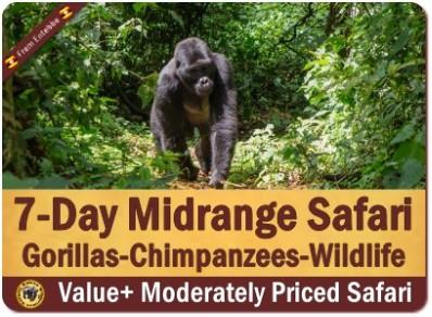 Gorilla Habituation Experience Safaris in Uganda