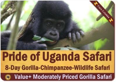 Value+ Midrange 8-Day Pride of Uganda Gorilla Chimpanzee Wildlife Safari