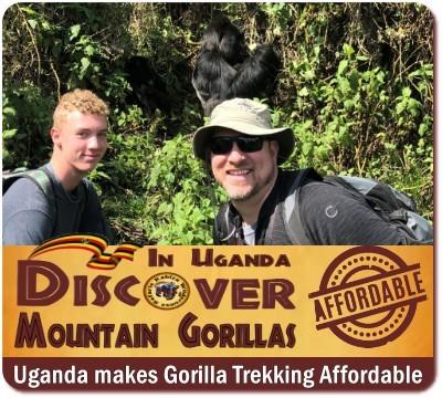 Affordable Gorilla Safaris in Uganda