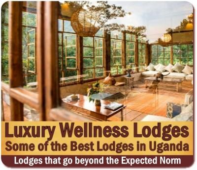 Luxury Wellness Safari in Uganda for your Body Soul and Spirit