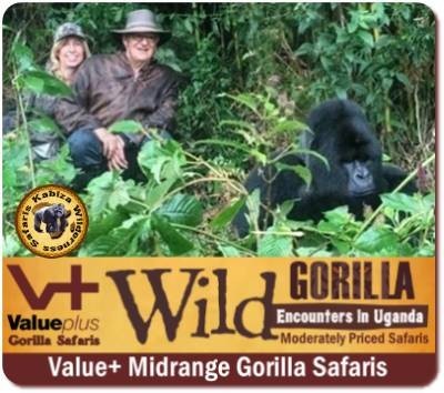 Midrange Gorilla Safaris in Uganda