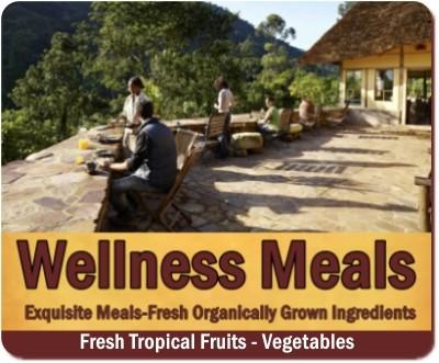 Luxury Wellness Safari in Uganda for your Body Soul and Spirit