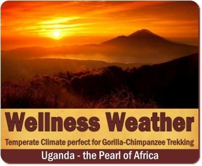 Luxury Wellness Safari in Uganda for your Body Soul and Spirit