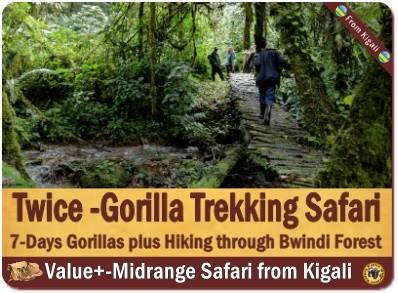 Value+ Midrange 7-Day Gorilla - Chimpanzee Trekking - Wildlife Safari