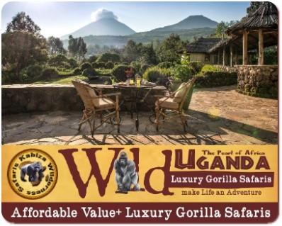 Luxury Private Gorilla Safaris in Uganda with Kabiza Wilderness Safaris