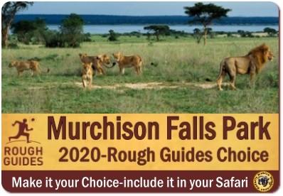 3 Day Luxury Fly-In Wildlife Safari - Murchison Falls Park in Uganda