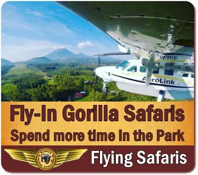 5-Day Luxury Fly-In Gorilla Trekking and Wildlife Safari