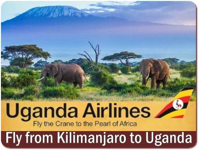 Uganda Airlines-Fly the Crane to the Pearl of Africa