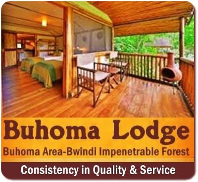 Best Luxury Gorilla Trekking Lodges in Bwindi Impenetrable Forest