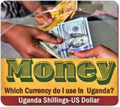 How much Money should I bring for my Safari in Uganda?