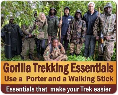 The Two Must-Haves for Gorilla Trekking are a Porter and a Walking Stick