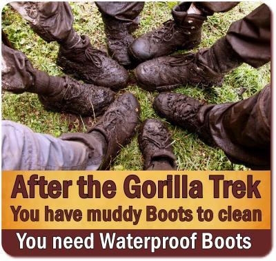 Hiking Boots are the Right Footwear for Gorilla Trekking and Hiking Safaris