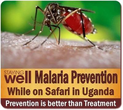 Avoid getting Malaria