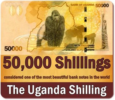 What Currency do I use in Uganda? The official and unofficial Currency