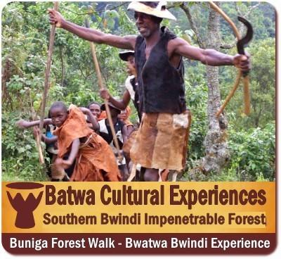 3-Day Luxury Fly-In Gorilla Habituation Experience Safari in Bwindi Forest