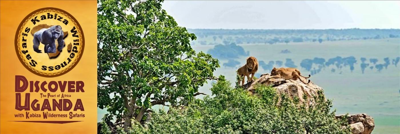 Top Things to Do and See in Kidepo Valley Park - Northeast Uganda