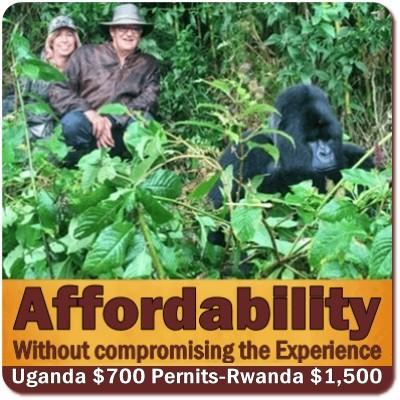 Affordable Gorilla Safaris in Uganda where you get Value for your Money