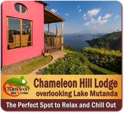 Chameleon Hill Lodge - there is no other Lodge like it in Uganda