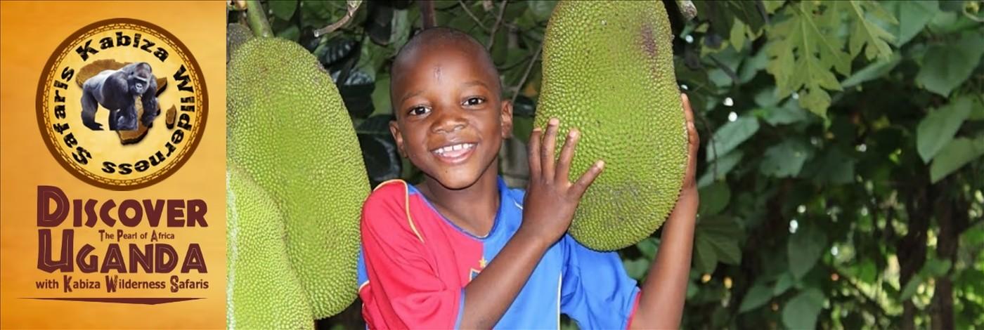 Try some tasty Jackfruit in Uganda