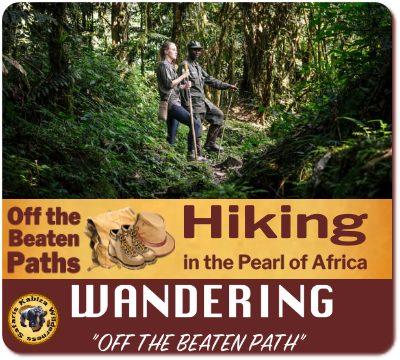 Practical Hiking - Climbing Safari Advice and Tips for Uganda