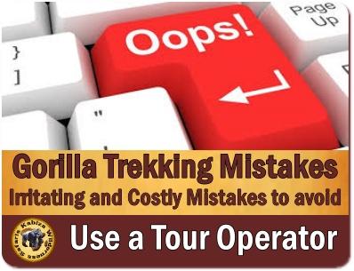 The 10-Most Common Gorilla Trekking Mistakes to Avoid i Uganda