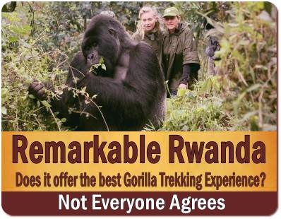 Comparing Gorilla Trekking in Uganda with Rwanda and DR Congo