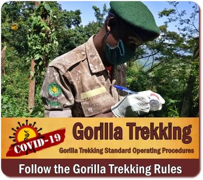 Gorilla Trekking- Rules - Guide Lines in Uganda