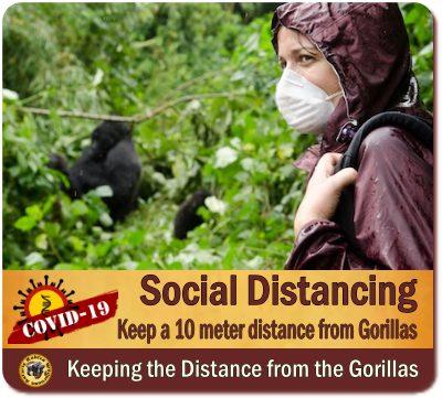 Gorilla Trekking- Rules - Guidelines in Uganda