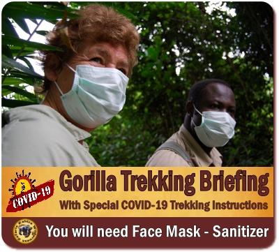 Gorilla Trekking- Rules - Guidelines in Uganda