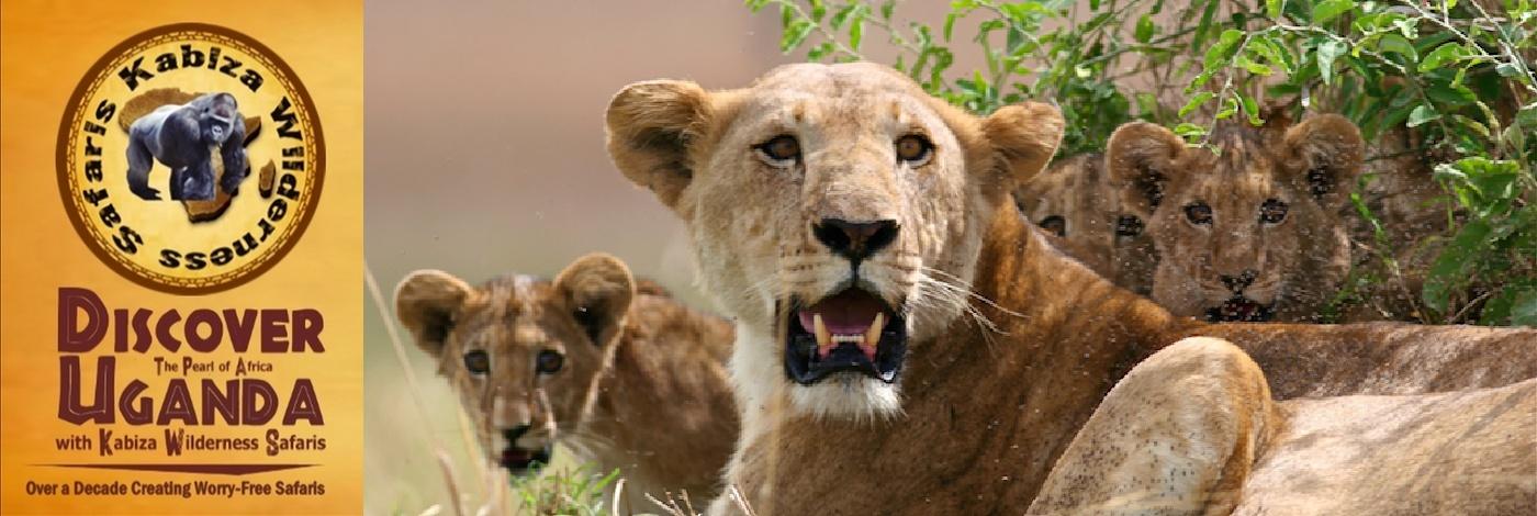 The Carnivores found in Uganda while on a Safari