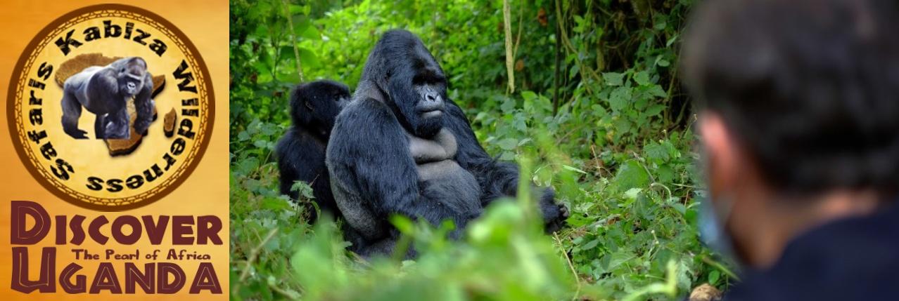 8-Day Gorillas - Lions - Chimpanzees Luxury Safari in Uganda