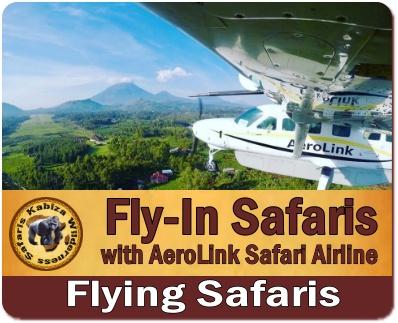 Fly-In Safaris in Uganda - Convenient-Time Saving-no long drives