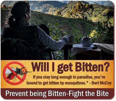 Fight the Bite on Safari-Prevent Insect Bites on Safari in Uganda