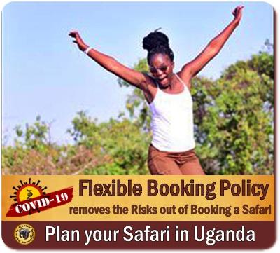 Our Flexible Booking Policy-Book a Safari in Uganda without worry